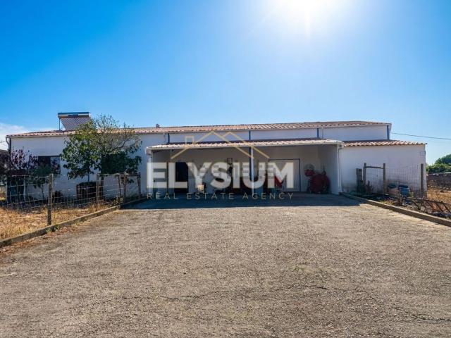 Armazém venda em Alpiarça, Santarém