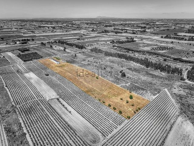 Armazém venda em Alpiarça
