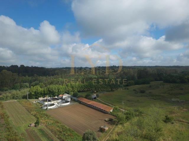 Armazém venda em Madureira, Anadia