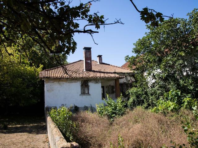 Loja venda em Malaposta, Anadia