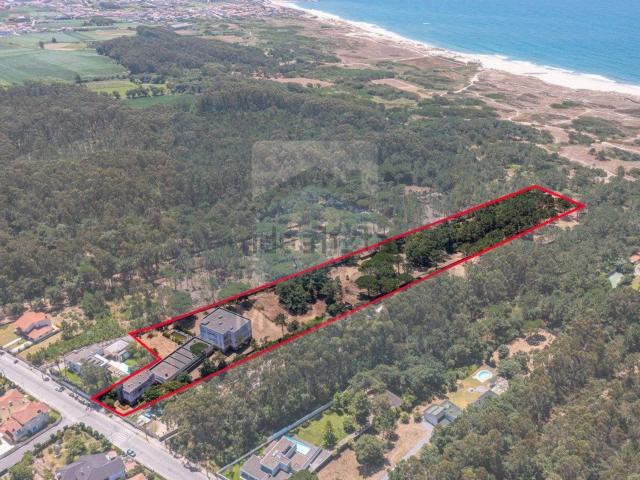 Loja venda em Vila Do Conde, Porto