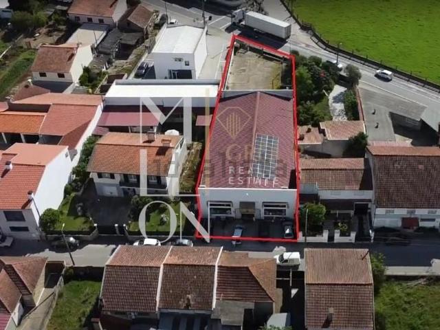 Ponto Comercial venda em Avelãs De Caminho