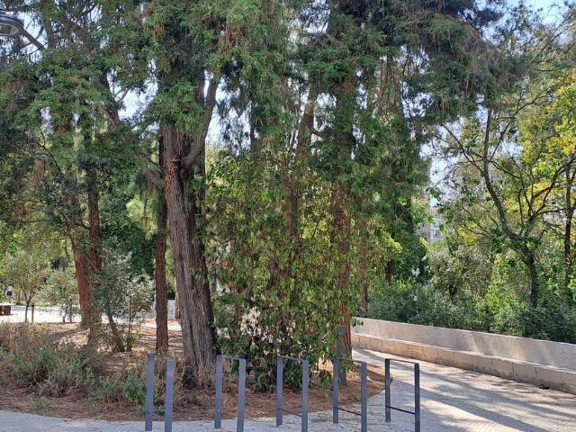 Loja venda em Avenidas Novas, Lisboa