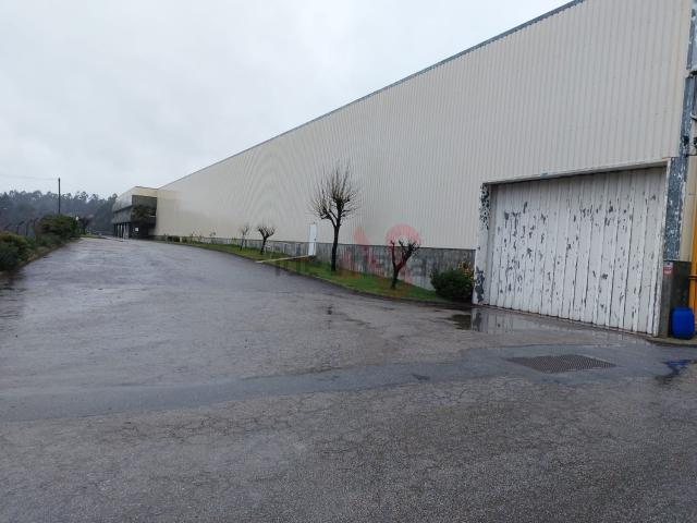 Armazém venda em Santo Tirso, Porto