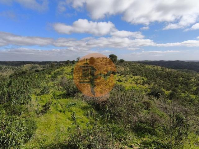 Loja venda em Brenhosa, Castro Marim