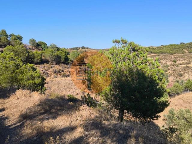 Loja venda em Azinhal, Castro Marim