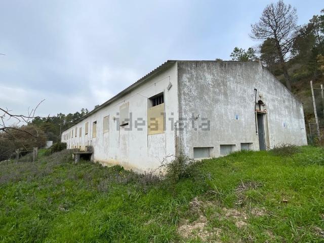 Armazém venda em Santarém