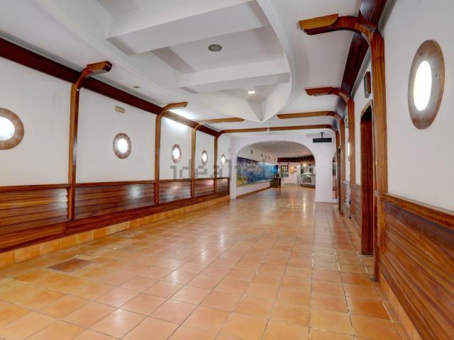 Loja venda em Nova Sintra, A Ver-o-mar