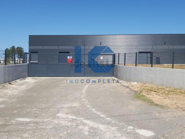 Armazém alugar em Barro, Águeda