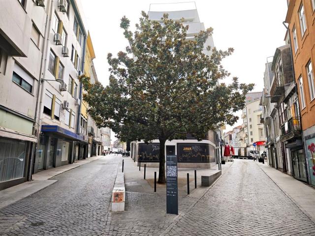 Loja alugar em Porto, Cedofeita
