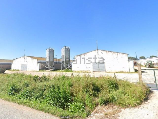 Armazém alugar em Coutada Velha, Benavente