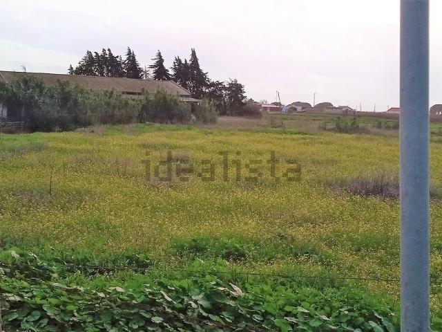 Armazém venda em Coutada Velha, Benavente