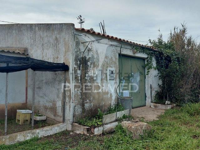 Armazém venda em Lagos, Faro