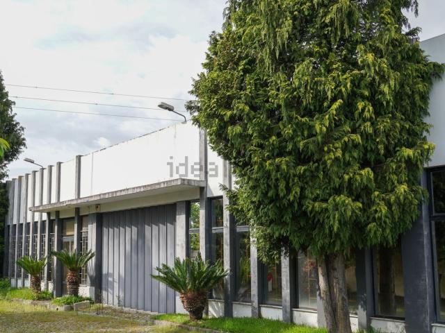 Armazém alugar em Bougado (São Martinho e Santiago), Trofa
