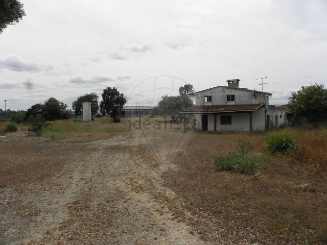 Armazém venda em Alcanena, Santarém
