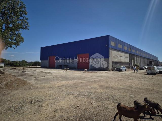 Armazém venda em Tomar, Santarém