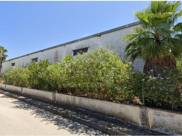 Armazém venda em Chamusca e Pinheiro Grande, Chamusca