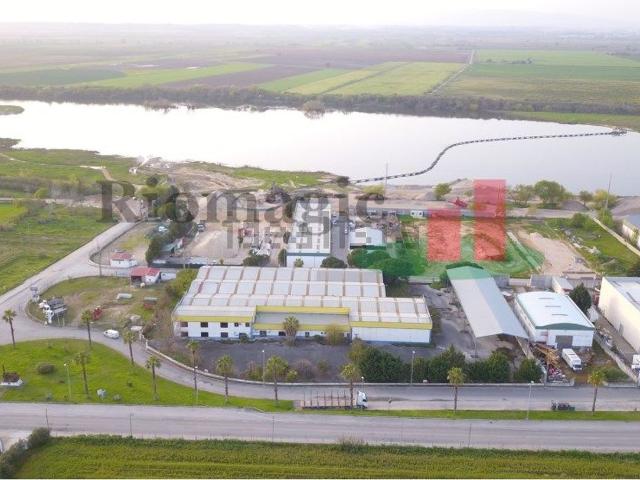 Armazém venda em Chamusca e Pinheiro Grande, Chamusca