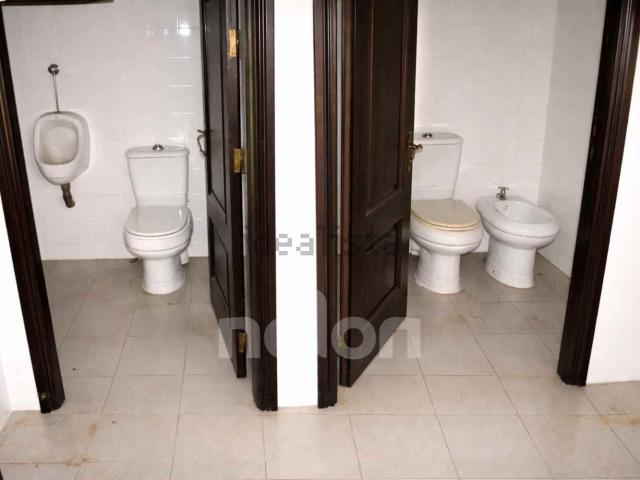 Armazém venda em Chamusca e Pinheiro Grande, Chamusca