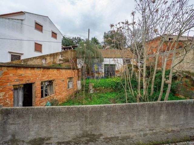 Armazém venda em Chamusca e Pinheiro Grande, Chamusca