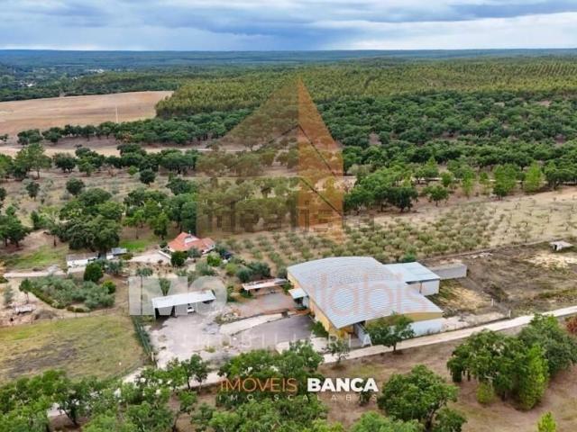 Armazém venda em Chamusca, Santarém
