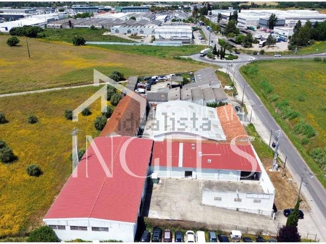 Armazém venda em Santarém
