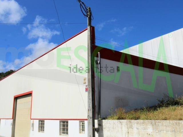 Armazém venda em Santarém