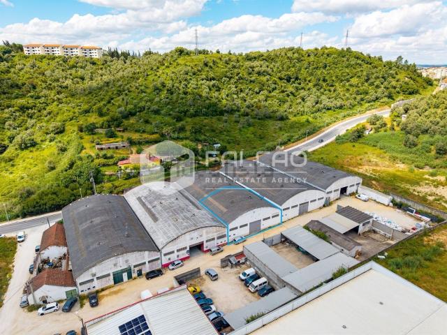 Armazém alugar em Santarém