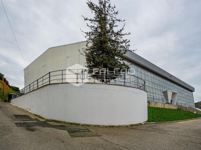 Armazém venda em Santarém