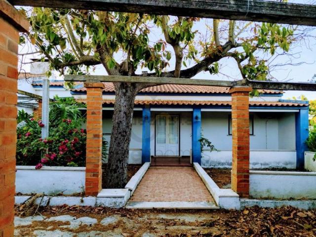 Loja venda em Cidade de Santarém, Santarém