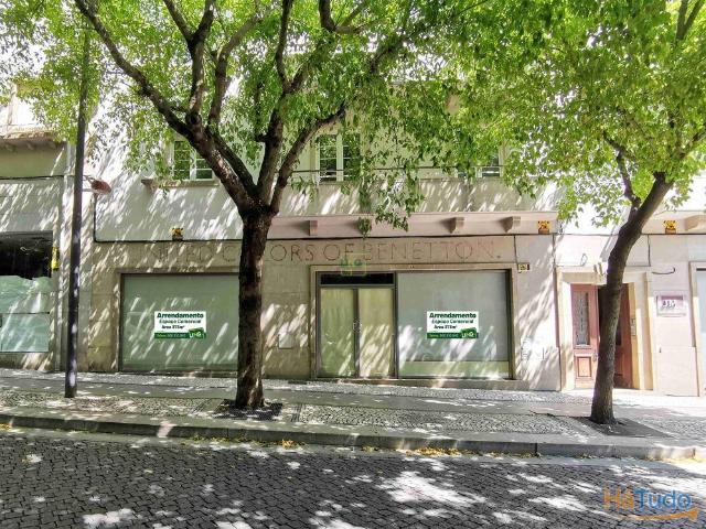 Ponto Comercial alugar em Castelo Branco