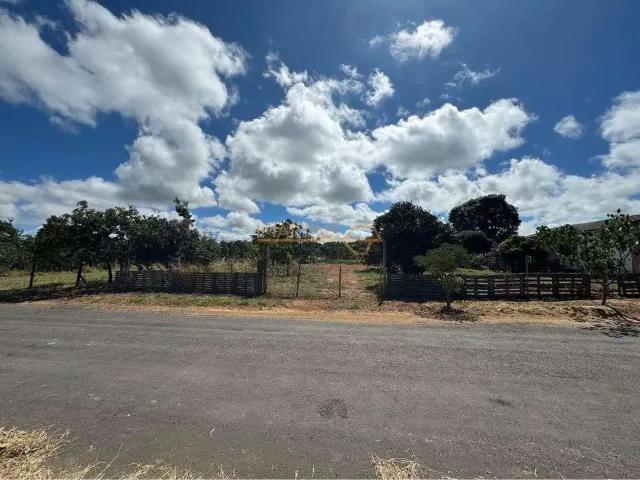 Ponto Comercial aluguel em Região Geográfica Imediata de Uberlândia, Araguari