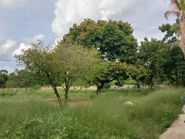 Ponto Comercial aluguel em Região Imediata de Araraquara, Araraquara