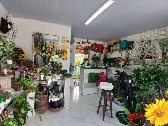 Ponto Comercial aluguel em Cabo Frio