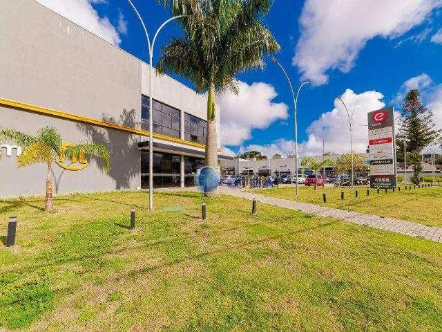 Ponto Comercial aluguel em Região Geográfica Imediata de Curitiba, Região Metropolitana de Curitiba