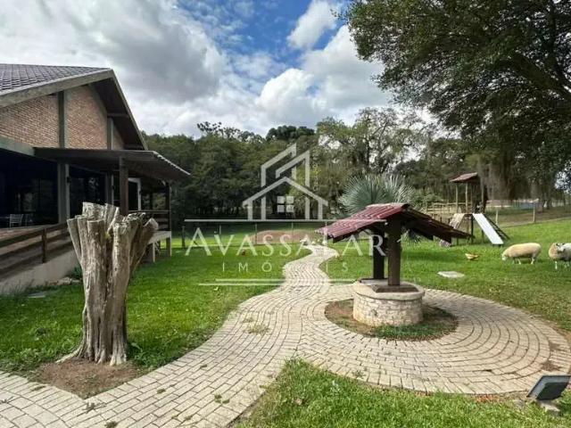 Ponto Comercial aluguel em Região Geográfica Imediata de Curitiba, Região Metropolitana de Curitiba