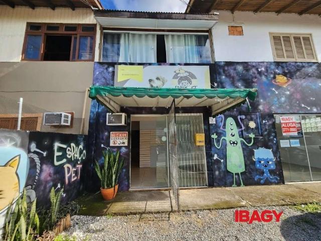 Ponto Comercial aluguel em Florianópolis, Campeche