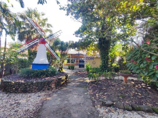 Ponto Comercial aluguel em Holambra