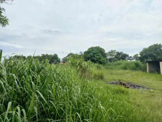 Ponto Comercial aluguel em Região Imediata de São José dos Campos, Região Metropolitana do Vale do Paraíba e Litoral Norte
