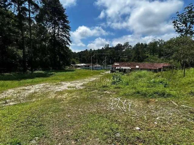 Ponto Comercial aluguel em Região Imediata de São Paulo, Região Metropolitana de São Paulo