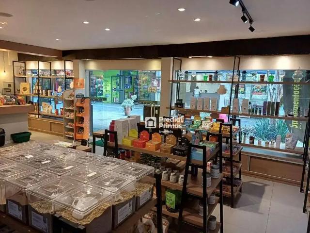 Ponto Comercial aluguel em Nova Friburgo