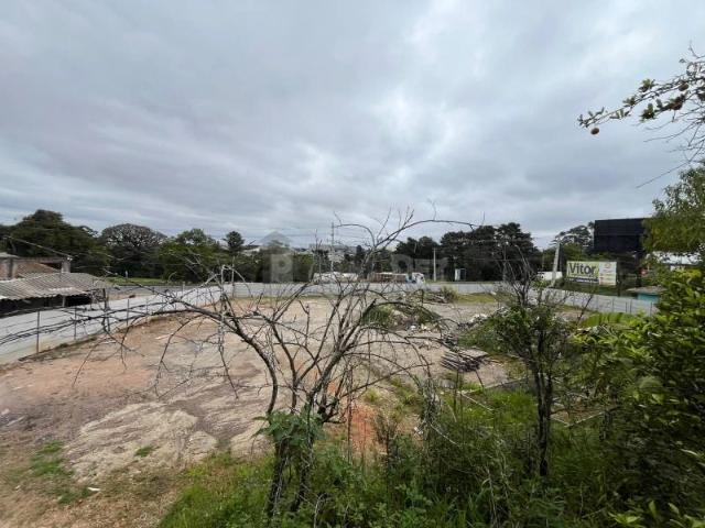 Ponto Comercial aluguel em Região Geográfica Imediata de Ponta Grossa, Ponta Grossa