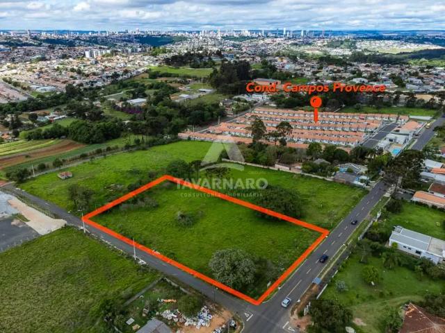 Ponto Comercial aluguel em Região Geográfica Imediata de Ponta Grossa, Ponta Grossa