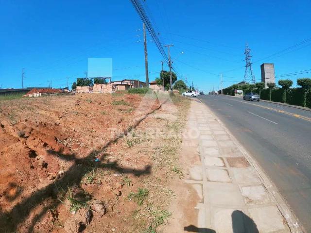 Ponto Comercial aluguel em Jardim Carvalho I, Ponta Grossa