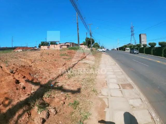 Ponto Comercial aluguel em Região Geográfica Imediata de Ponta Grossa, Ponta Grossa