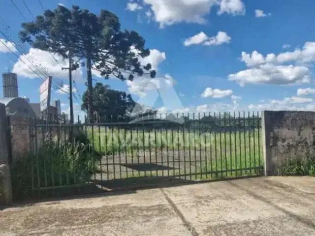 Ponto Comercial aluguel em Região Geográfica Imediata de Ponta Grossa, Ponta Grossa