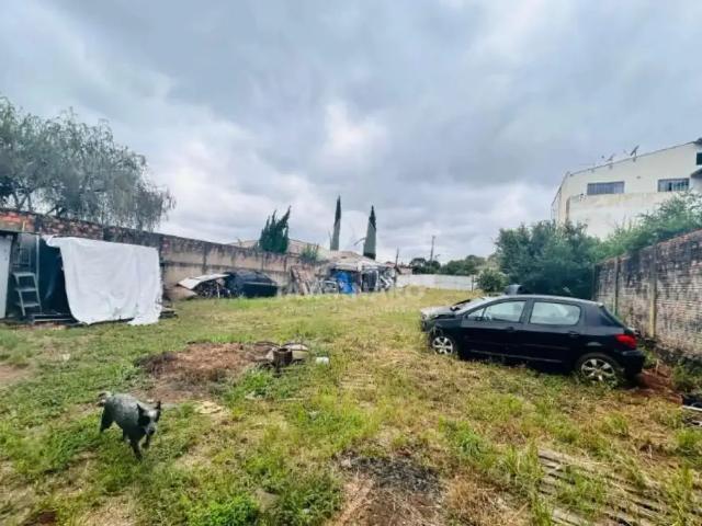 Ponto Comercial aluguel em Região Geográfica Imediata de Ponta Grossa, Ponta Grossa