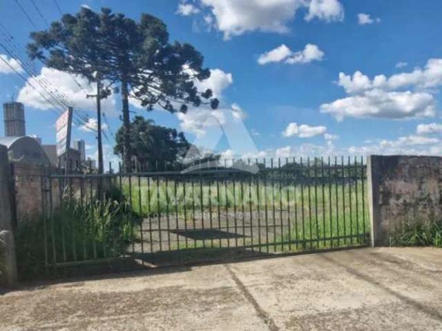 Ponto Comercial aluguel em Oficinas, Ponta Grossa