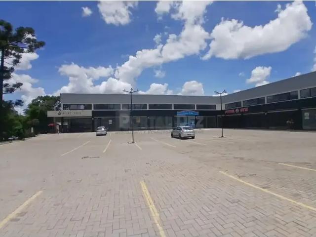 Ponto Comercial aluguel em Região Geográfica Imediata de Ponta Grossa, Ponta Grossa