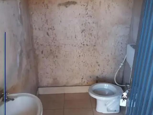 Ponto Comercial aluguel em Região Imediata de Ribeirão Preto, Região Metropolitana de Ribeirão Preto